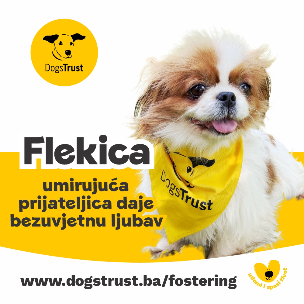 Uživa u maženju