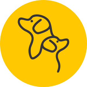 Volim igru i druženje