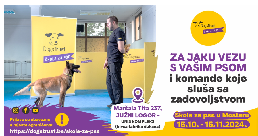 Dogstrust Banner