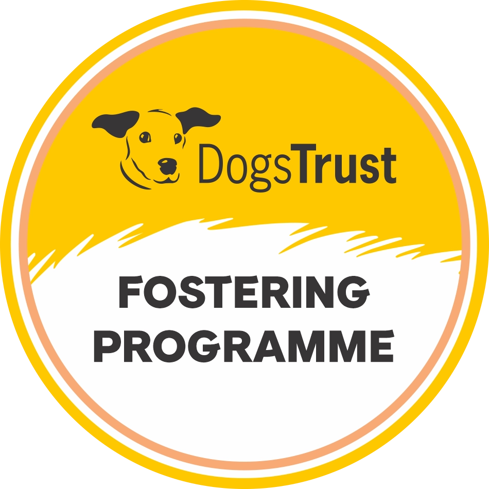 Fostering Programme